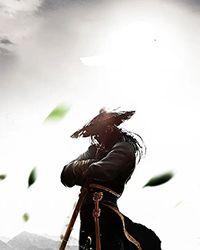 小槐花的种植方法